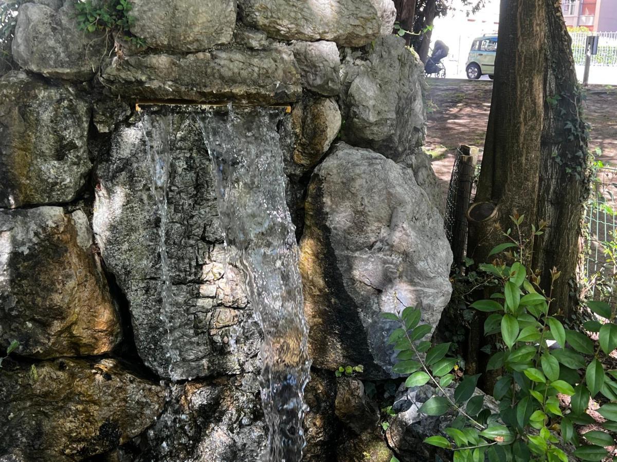 罗韦雷托Ca' Dei Cigni公寓 外观 照片